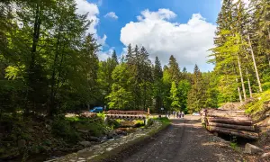 Malownicza droga w śnieżnicki park krajobrazowy, z mostkiem nad strumieniem, stosem drewna i grupą turystów.