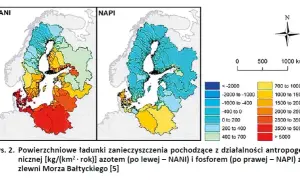 Dlaczego Bałtyk jest zanieczyszczony? Odkryj niebezpieczne przyczyny