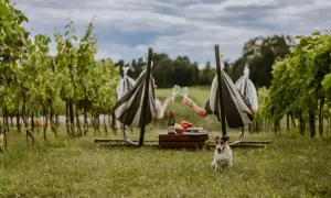 Para relaksu w winnicy. Dwoje ludzi w hamakach wznosi toast, a piesek czeka na degustację. Idealny dzień na enoturystykę.