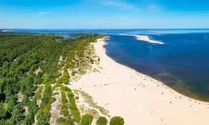 Plaża i las sosnowy nad Zatoką Pucką. Piękne, piaszczyste **wyspy w Polsce** zachęcają do wypoczynku.