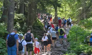 Tłum turystów wędruje kamienistym szlakiem w lesie, zmierzając w kierunku **trzy korony taras widokowy**.