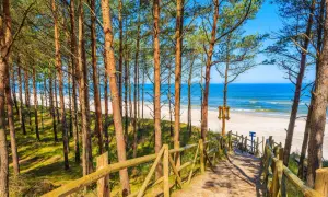 Ścieżka przez sosnowy las prowadzi na jedną z najpiękniejszych polskich plaż nad Bałtykiem. Piasek, morze i błękitne niebo.