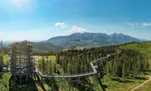 Spacer w koronach drzew Tatry. Drewniana wieża widokowa i ścieżka wijąca się wśród drzew z panoramą gór.