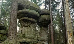 Grzyby skalne w Parku Narodowym Gór Stołowych. Te niezwykłe formacje skalne to jedne z wielu ciekawostek tego miejsca.