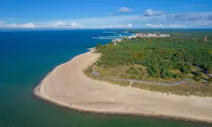 Piękna plaża i las na Helu. Warto zobaczyć to miejsce, gdzie morze spotyka się z zielenią.