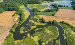Malownicze tereny z rzeką, jeziorami i polami. Idealne ciekawe miejsca 150 km od Warszawy na weekendowy wypad.