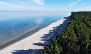 Plaża i las sosnowy nad spokojnym Zalewem Wiślanym w słoneczny dzień.