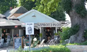 Najlepsze miejsca, gdzie zjeść w Mechelinkach – odkryj smaki regionu
