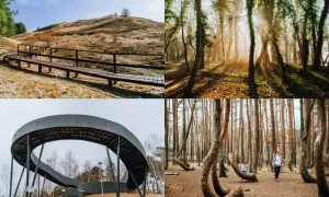 Leżajsk atrakcje: ścieżka na wzgórzu, słoneczny las, nowoczesna kładka i Krzywy Las.
