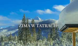 Piękna zima w Polsce, Tatry pokryte śniegiem, iglaste lasy i błękitne niebo.