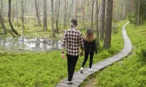Para spaceruje drewnianą kładką przez bagienny las. Odkrywają magiczne miejsca Kujawsko-Pomorskiego.