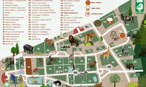 Mapa krakowskiego zoo z zaznaczonymi zwierzętami i atrakcjami. Odwiedź zoo w Krakowie, opinie są świetne!