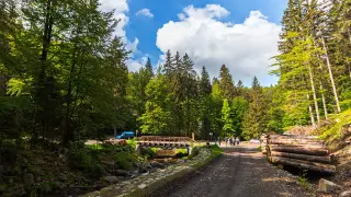 Malownicza droga w śnieżnicki park krajobrazowy, z mostkiem nad strumieniem, stosem drewna i grupą turystów.