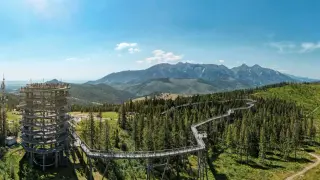 Spacer w koronach drzew Tatry. Drewniana wieża widokowa i ścieżka wijąca się wśród drzew z panoramą gór.