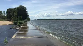 Betonowa ścieżka wzdłuż falującej wody, z piaszczystym brzegiem i drzewami po lewej. To malownicze ujście Wisły.