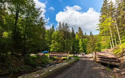 Malownicza droga w śnieżnicki park krajobrazowy, z mostkiem nad strumieniem, stosem drewna i grupą turystów.