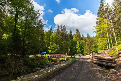 Malownicza droga w śnieżnicki park krajobrazowy, z mostkiem nad strumieniem, stosem drewna i grupą turystów.