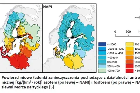 Dlaczego Bałtyk jest zanieczyszczony? Odkryj niebezpieczne przyczyny