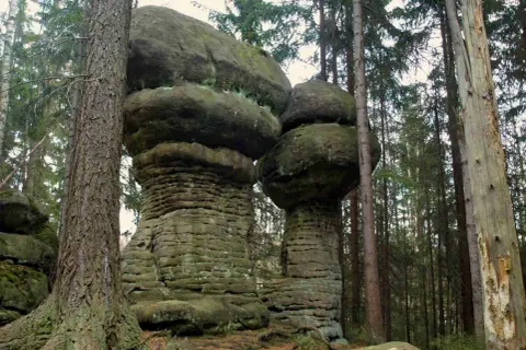 Grzyby skalne w Parku Narodowym Gór Stołowych. Te niezwykłe formacje skalne to jedne z wielu ciekawostek tego miejsca.