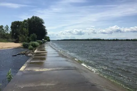 Betonowa ścieżka wzdłuż falującej wody, z piaszczystym brzegiem i drzewami po lewej. To malownicze ujście Wisły.