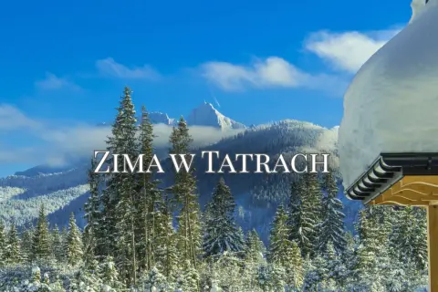 Piękna zima w Polsce, Tatry pokryte śniegiem, iglaste lasy i błękitne niebo.
