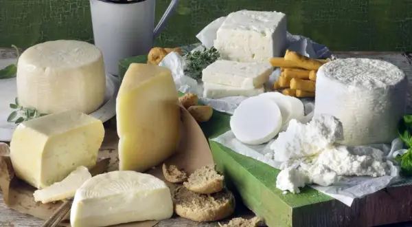 Różnorodne sery, w tym biała feta, żółte sery i świeży twaróg, podane z pieczywem i ziołami.