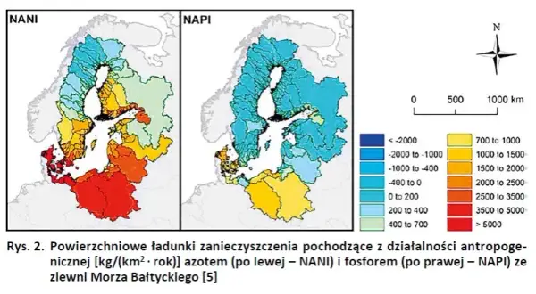 Dlaczego Bałtyk jest zanieczyszczony? Odkryj niebezpieczne przyczyny