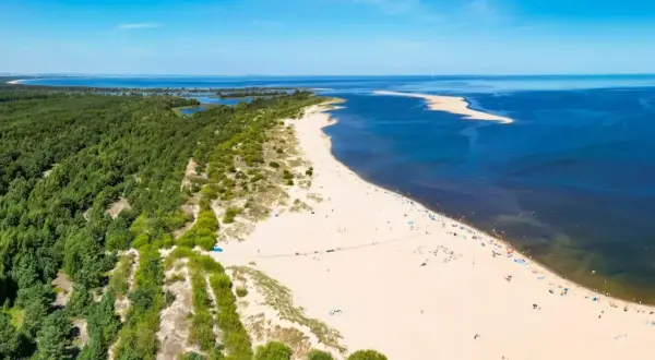 Plaża i las sosnowy nad Zatoką Pucką. Piękne, piaszczyste **wyspy w Polsce** zachęcają do wypoczynku.