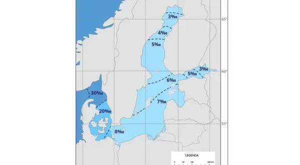 Mapa pokazuje **zasolenie Bałtyku**. Najwyższe zasolenie (30‰) występuje przy cieśninach duńskich, a najniższe (3‰) w Zatoce Botnickiej.