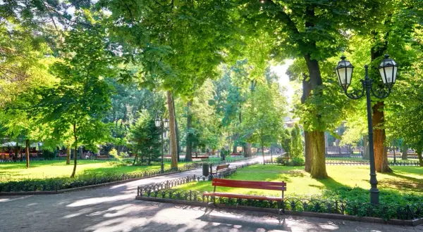 Słoneczna sadyba pełna zieleni, z alejkami, ławkami i latarniami.
