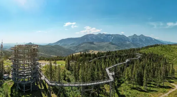 Spacer w koronach drzew Tatry. Drewniana wieża widokowa i ścieżka wijąca się wśród drzew z panoramą gór.