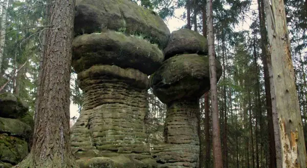 Grzyby skalne w Parku Narodowym Gór Stołowych. Te niezwykłe formacje skalne to jedne z wielu ciekawostek tego miejsca.