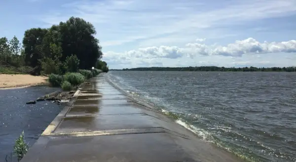Betonowa ścieżka wzdłuż falującej wody, z piaszczystym brzegiem i drzewami po lewej. To malownicze ujście Wisły.