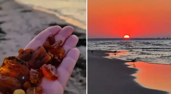 Zachód słońca nad morzem i garść bursztynów. Oto jak rozpoznać bursztyn na plaży – szukaj go po zmroku, gdy fale wyrzucą go na brzeg.