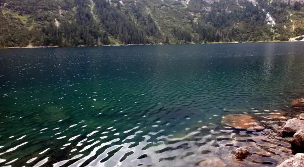Górskie jezioro Morskie Oko, otoczone lasem i skalistymi zboczami, lśni w słońcu. Na jakiej wysokości jest Morskie Oko? Około 1395 m n.p.m.