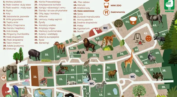 Mapa krakowskiego zoo z zaznaczonymi zwierzętami i atrakcjami. Odwiedź zoo w Krakowie, opinie są świetne!