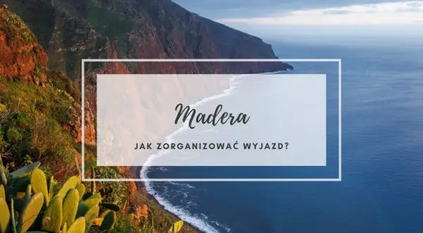 Majestatyczne klify i ocean na wyspie Madera. Planujesz wyjazd?