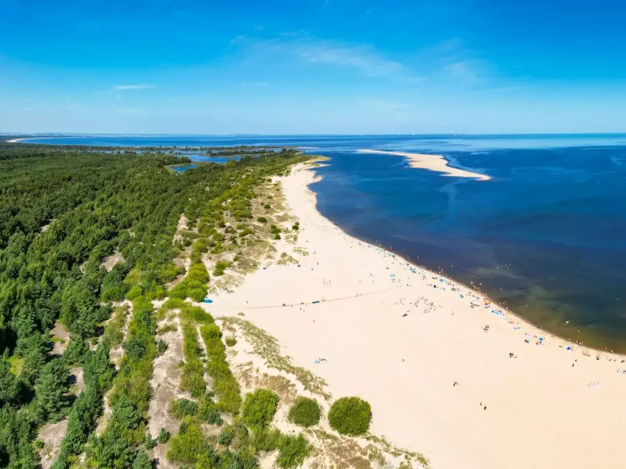 Plaża i las sosnowy nad Zatoką Pucką. Piękne, piaszczyste **wyspy w Polsce** zachęcają do wypoczynku.