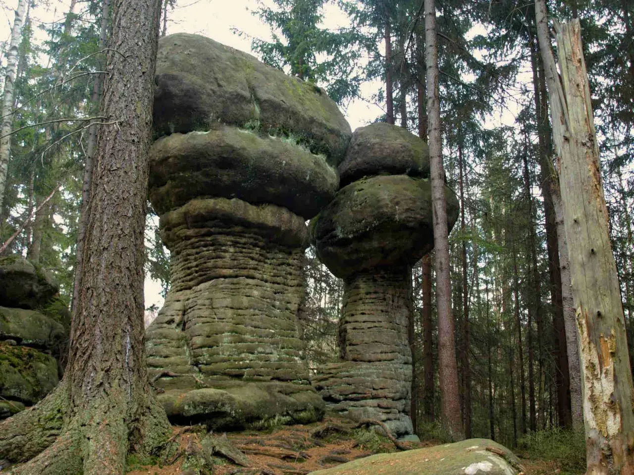 Grzyby skalne w Parku Narodowym Gór Stołowych. Te niezwykłe formacje skalne to jedne z wielu ciekawostek tego miejsca.