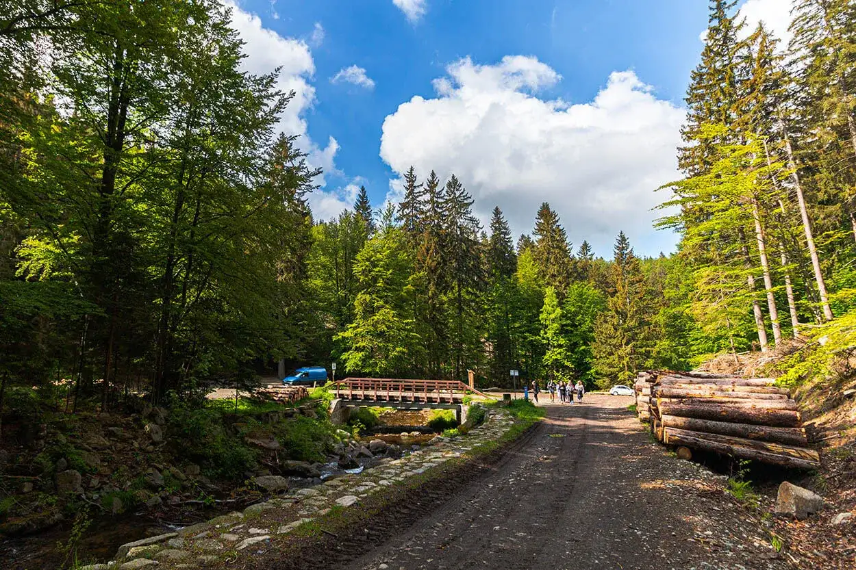 Malownicza droga w śnieżnicki park krajobrazowy, z mostkiem nad strumieniem, stosem drewna i grupą turystów.