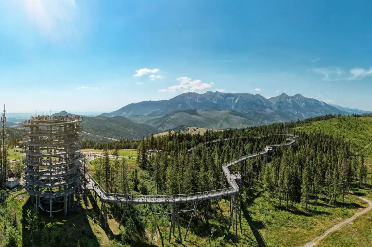 Spacer w koronach drzew Tatry. Drewniana wieża widokowa i ścieżka wijąca się wśród drzew z panoramą gór.