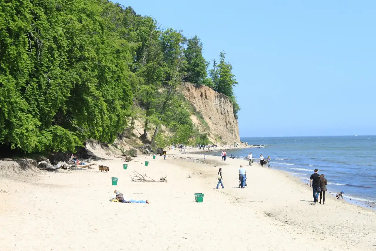 Piękna plaża z klifem i lasem, idealne miejsce, gdzie pojechać na weekend. Ludzie spacerują i odpoczywają.