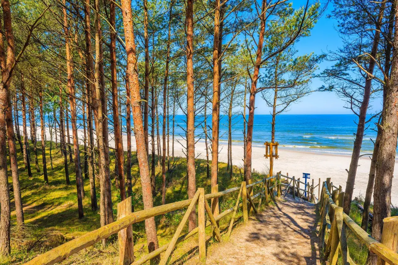 Ścieżka przez sosnowy las prowadzi na piaszczystą plażę. Widok idealny dla szukających najpiękniejszych miejscowości nad morzem.