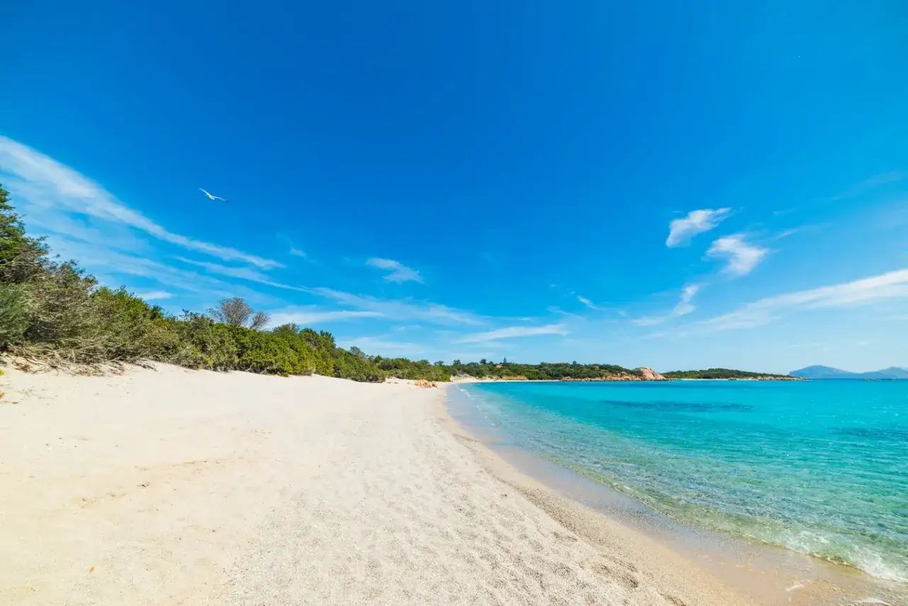 Piękna plaża na Costa Smeralda z białym piaskiem, turkusową wodą i zielonymi wzgórzami w tle.