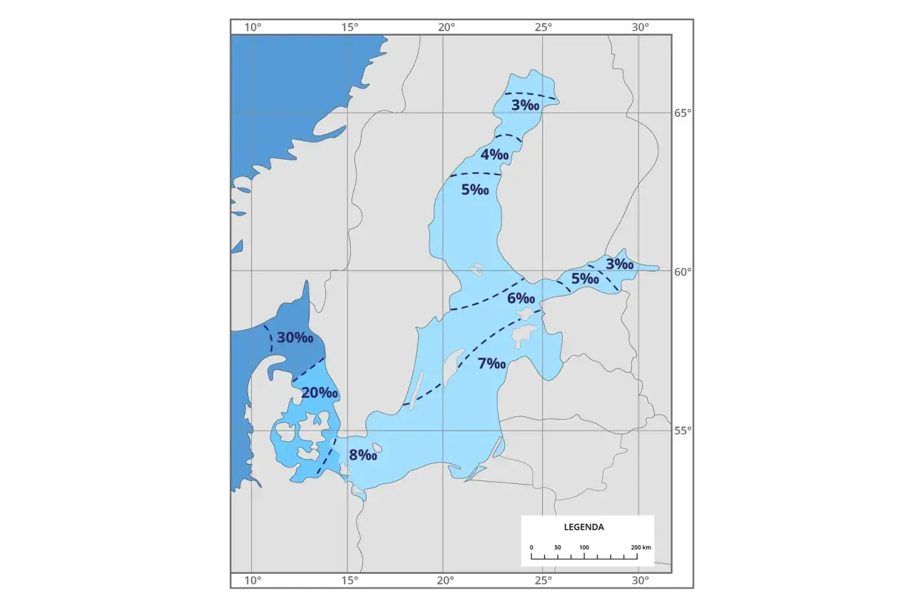 Mapa pokazuje zasolenie Bałtyku. Najwyższe wartości (30‰) występują przy cieśninach duńskich, a najniższe (3‰) w Zatoce Botnickiej.