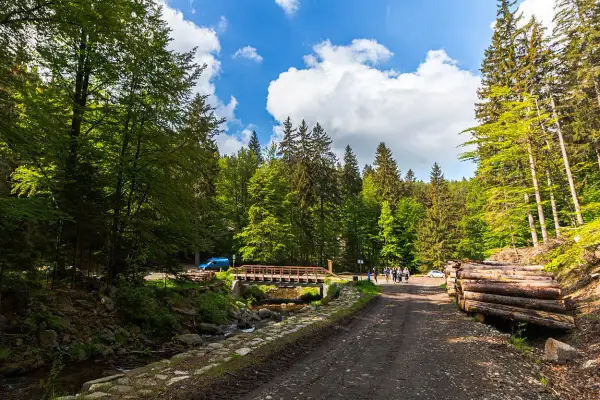 Malownicza droga w śnieżnicki park krajobrazowy, z mostkiem nad strumieniem, stosem drewna i grupą turystów.