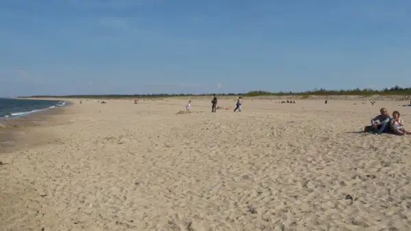 Szeroka, piaszczysta plaża Stogi z kilkoma osobami spacerującymi i odpoczywającymi. W tle widać morze i las.